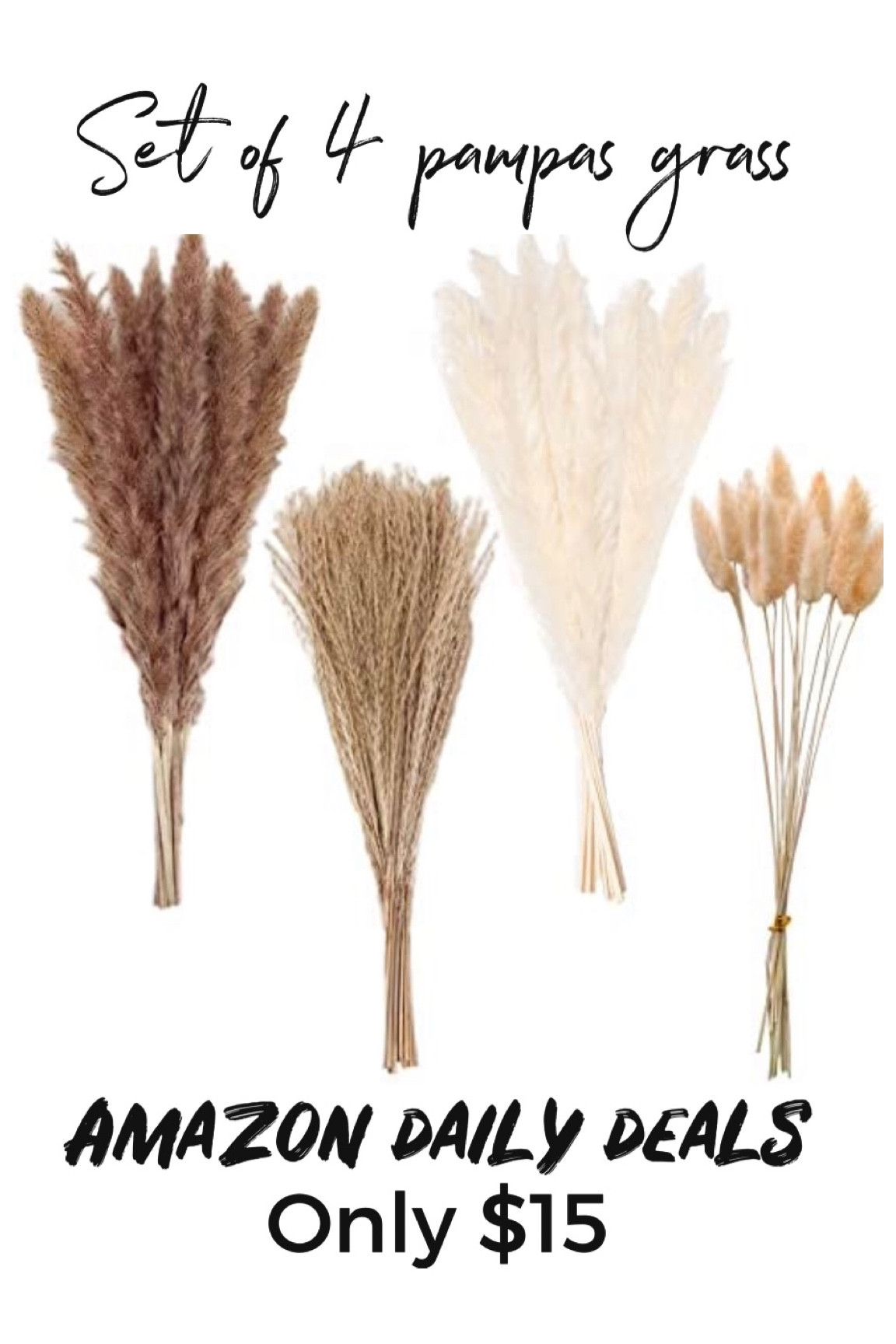 Set of 4 pampas grass for home decor only $15

#LTKhome #LTKsalealert #LTKunder50