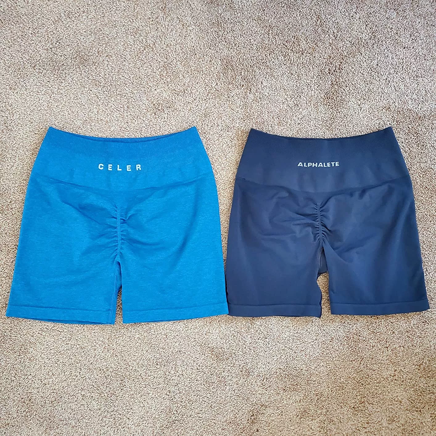 CELER Womens Workout Shorts … curated on LTK