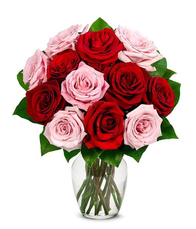 One Dozen Red & Pink Roses | From You Flowers