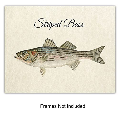 Bass Fishing, Lure, Reel, Patent Print Set - Vintage Rustic 4-8x10 Wall Art, Home Decor, Room Dec... | Amazon (US)