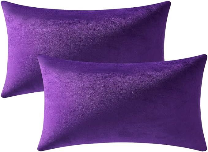 12x20 Throw Pillow Cases Purple: 2 Pack Cozy Soft Velvet Rectangular Decorative Pillow Covers for... | Amazon (US)