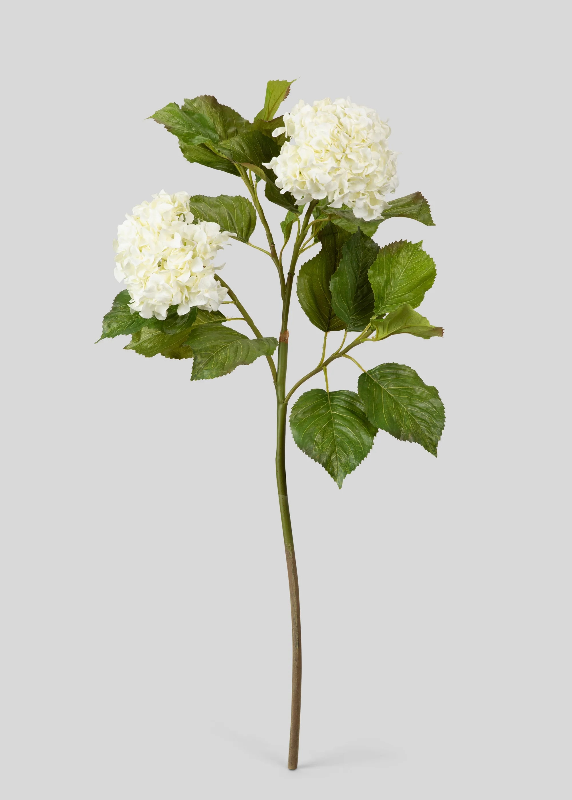 Hydrangea Branch in Crisp White | Luxe Faux Flowers | Afloral | Afloral