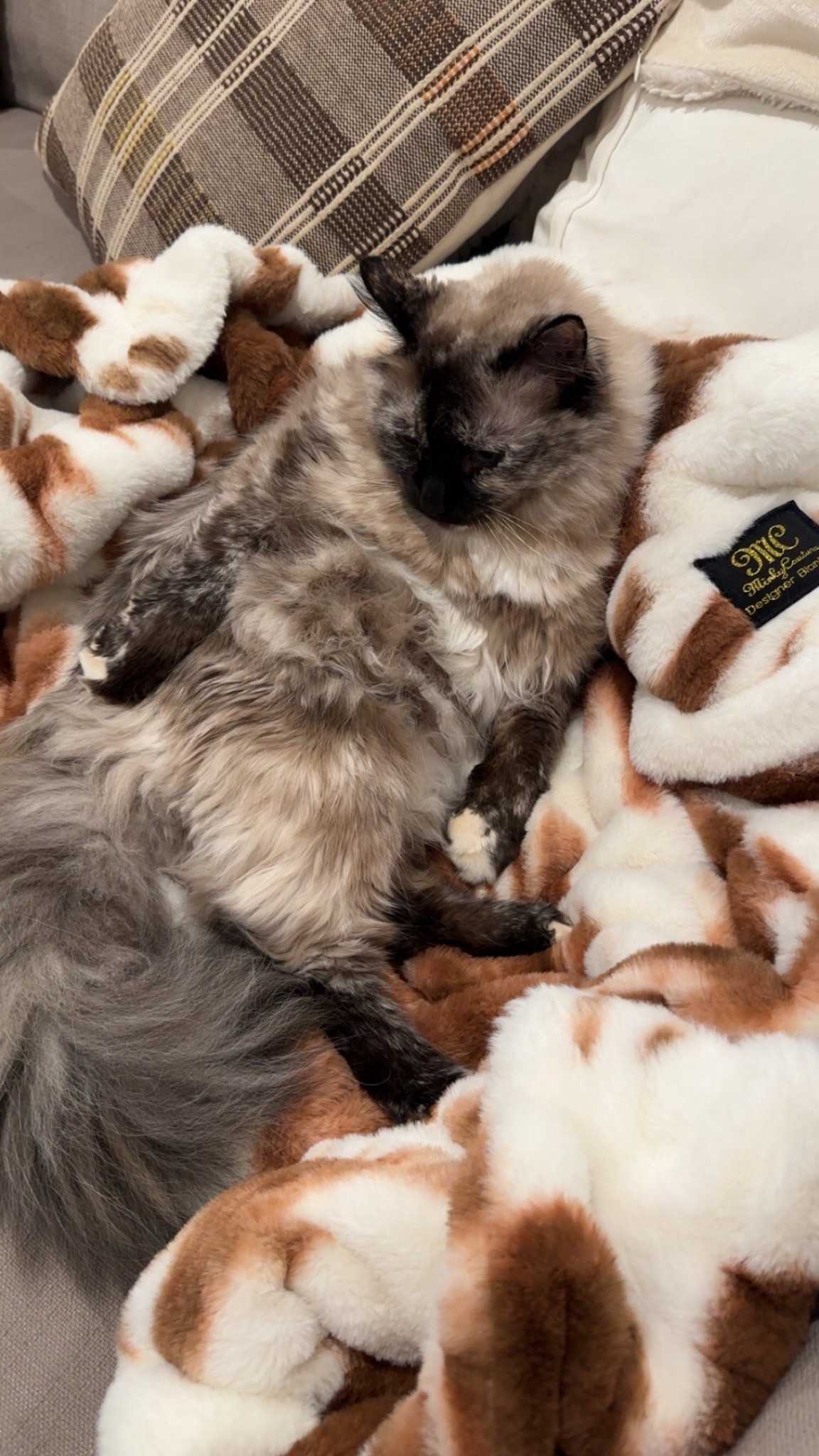 The softest blanket of all time that we ALL fight over in the house. And the coolest pattern! I just love it 

#LTKGiftGuide #LTKselfcare #LTKHome