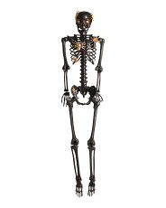 62in Led Hanging Skeleton With Glitter Spiders | Marshalls