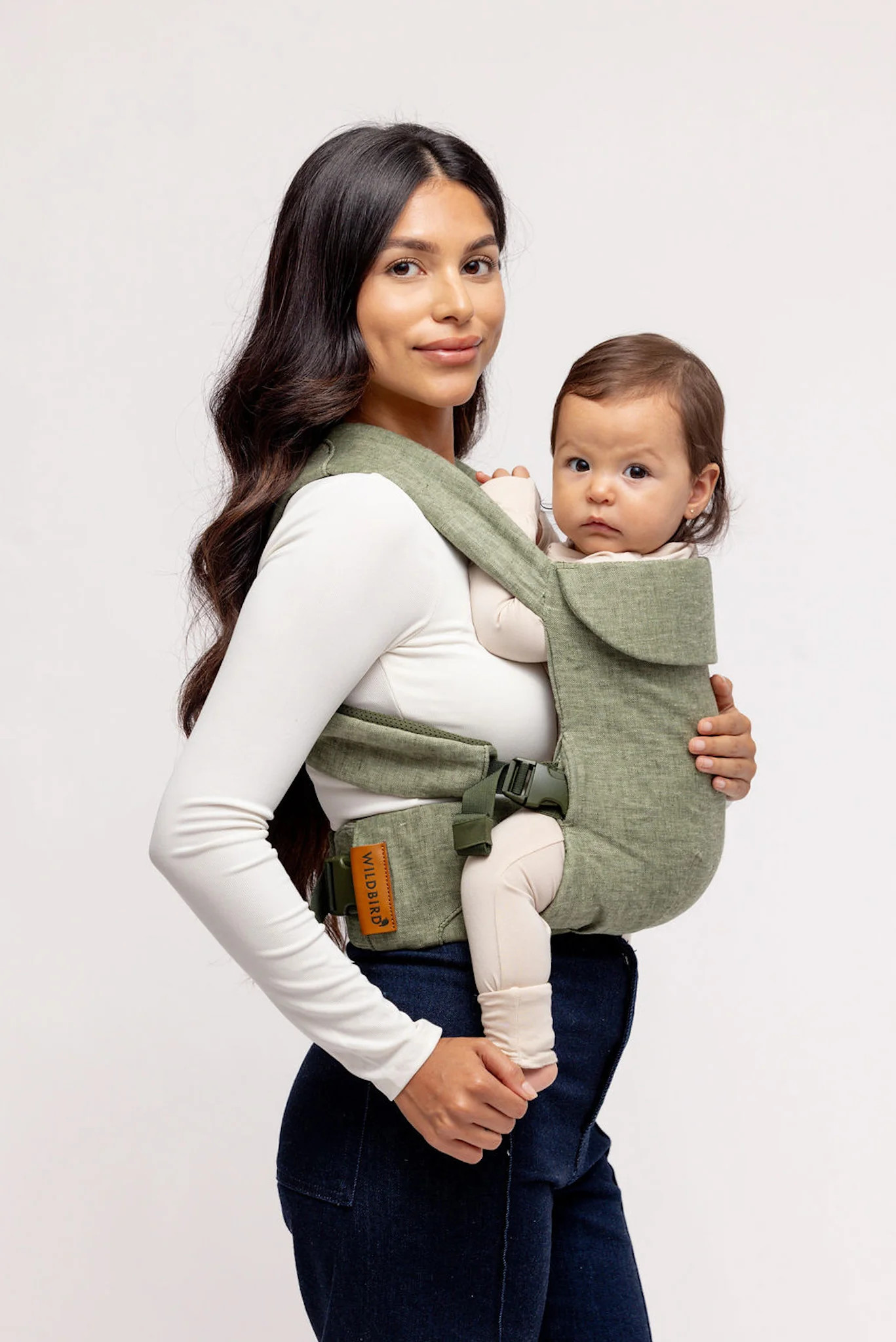 Bushwren - Aerial Carrier | Wildbird