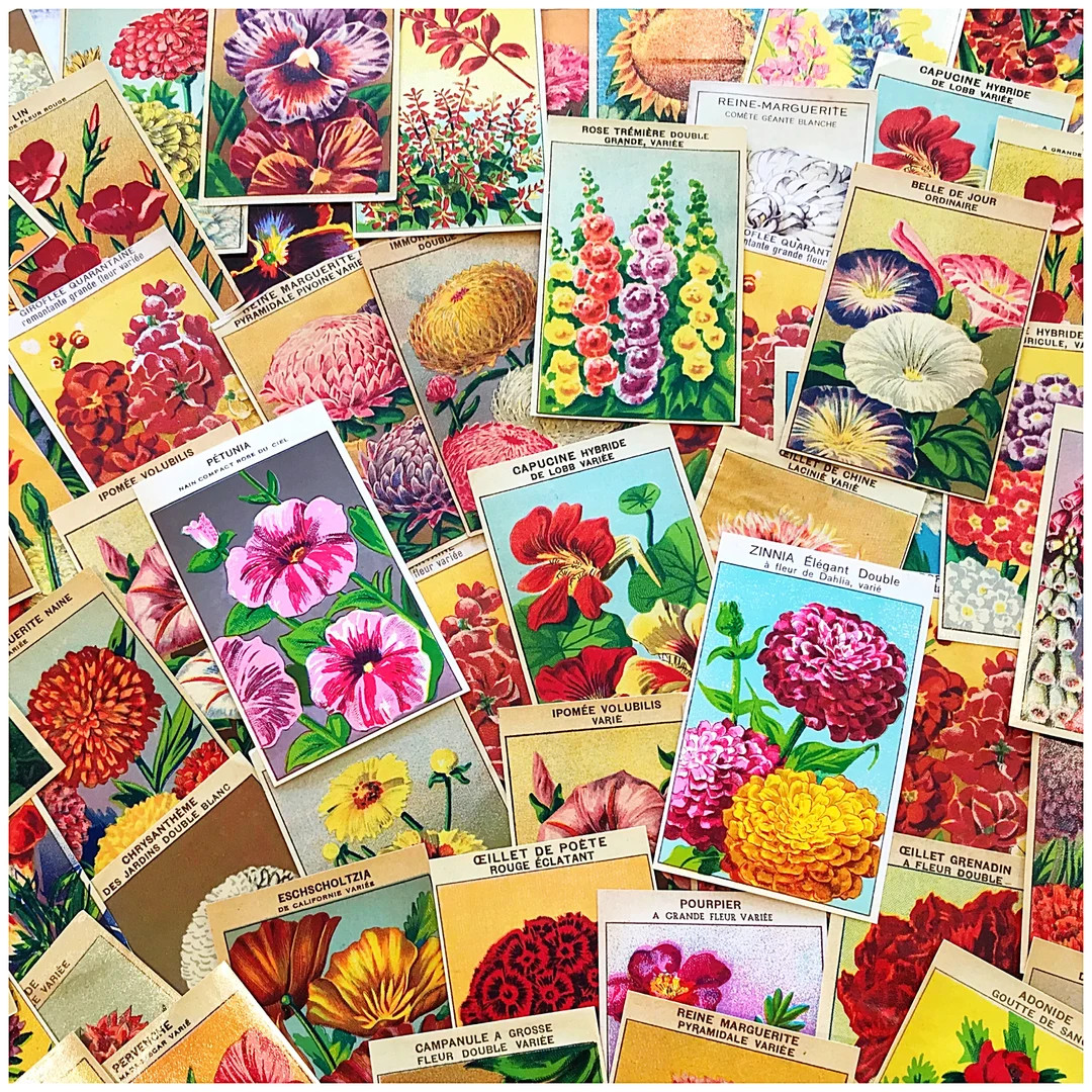 Vintage French Flower Seed Labels, Ephemera Pack of Ten From Old Seed Packets, for Junk Journals ... | Etsy (US)