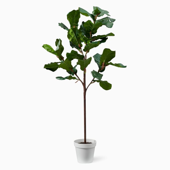 Faux Potted Fiddle Leaf Fig Trees | West Elm (US)