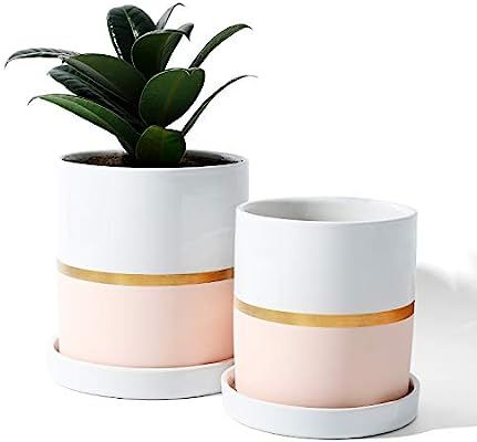 POTEY 052003 Cylinder Ceramic Plant Pot - 4.9 & 3.9 Inch Planters with Pink Golden Detailing for ... | Amazon (US)