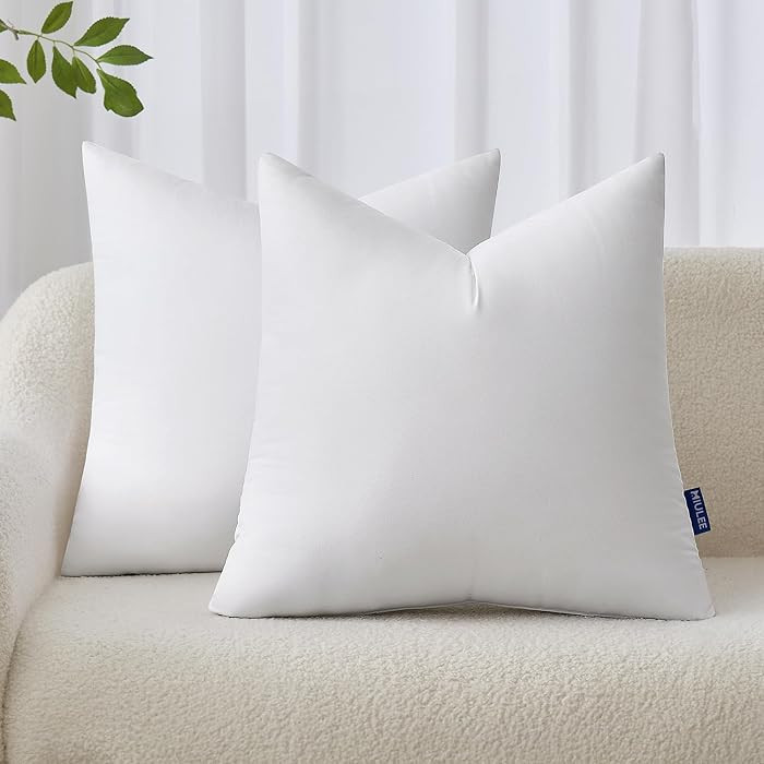 MIULEE 20x20 Inches Pillow Inserts Pack of 2, Decorative Throw Pillow Inserts for Couch | Amazon (US)