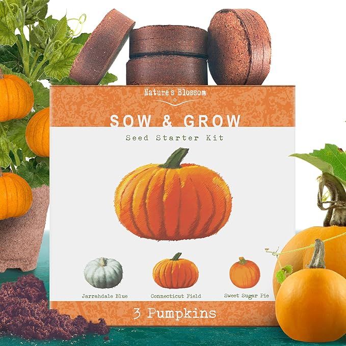 Nature's Blossom Pumpkin Kit. Grow 3 Types of Pumpkins from Seed. Complete Beginners Gardening St... | Amazon (US)