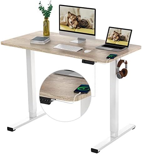 FLEXISPOT Essential Standing Desk Electric Stand Up Desk with 48 x 24 Inches Whole-Piece Desktop ... | Amazon (US)