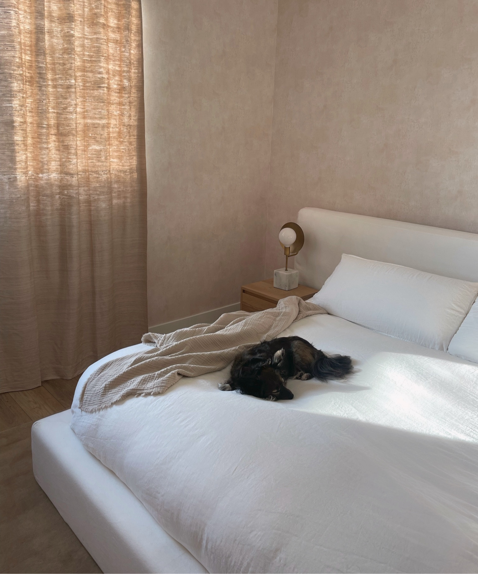 Gifts for a nontoxic home 

#LTKHoliday #LTKGiftGuide #LTKCyberWeek