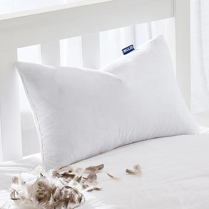 MIULEE Feather Pillow Insert 12x20, Decorative Down Throw Pillow Insert Fluffy Throw Pillow Cotto... | Amazon (US)