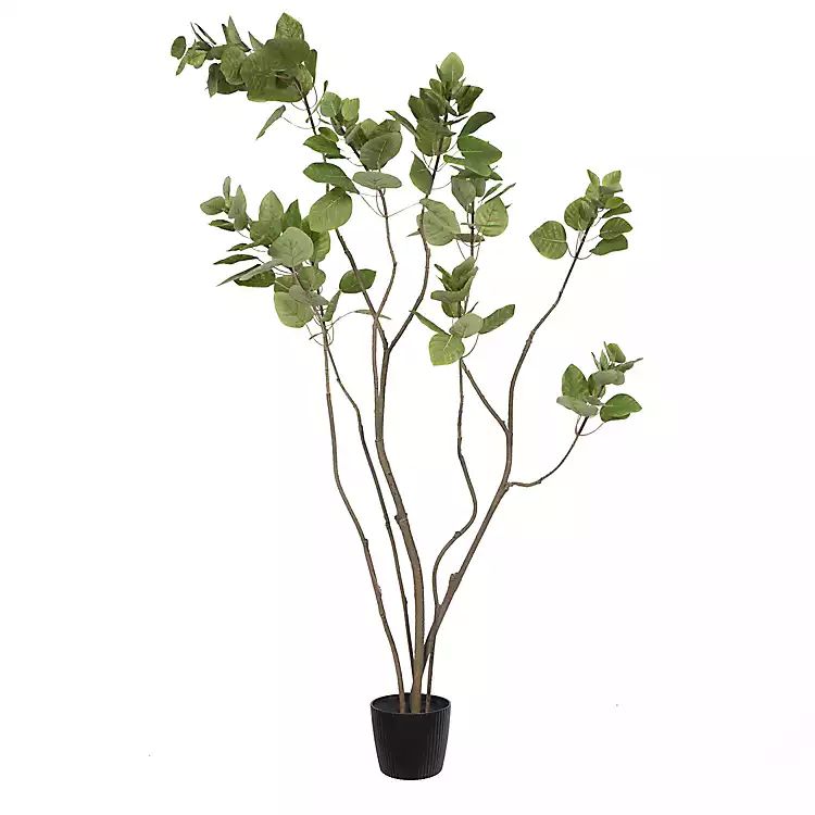 Green Potted Cotinus Coggygria Tree, 4 ft. | Kirkland's Home