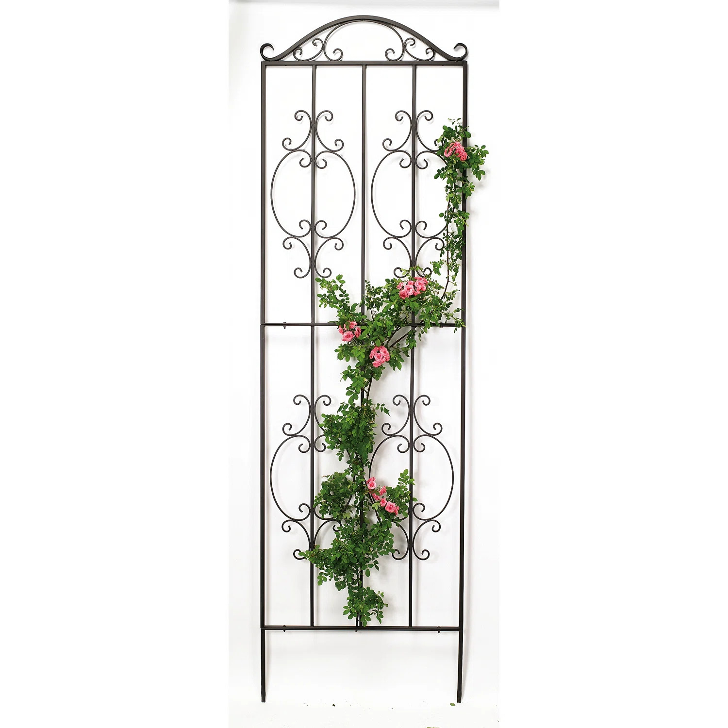 Montebello 109'' H x 32'' W Iron Gothic Trellis | Wayfair North America