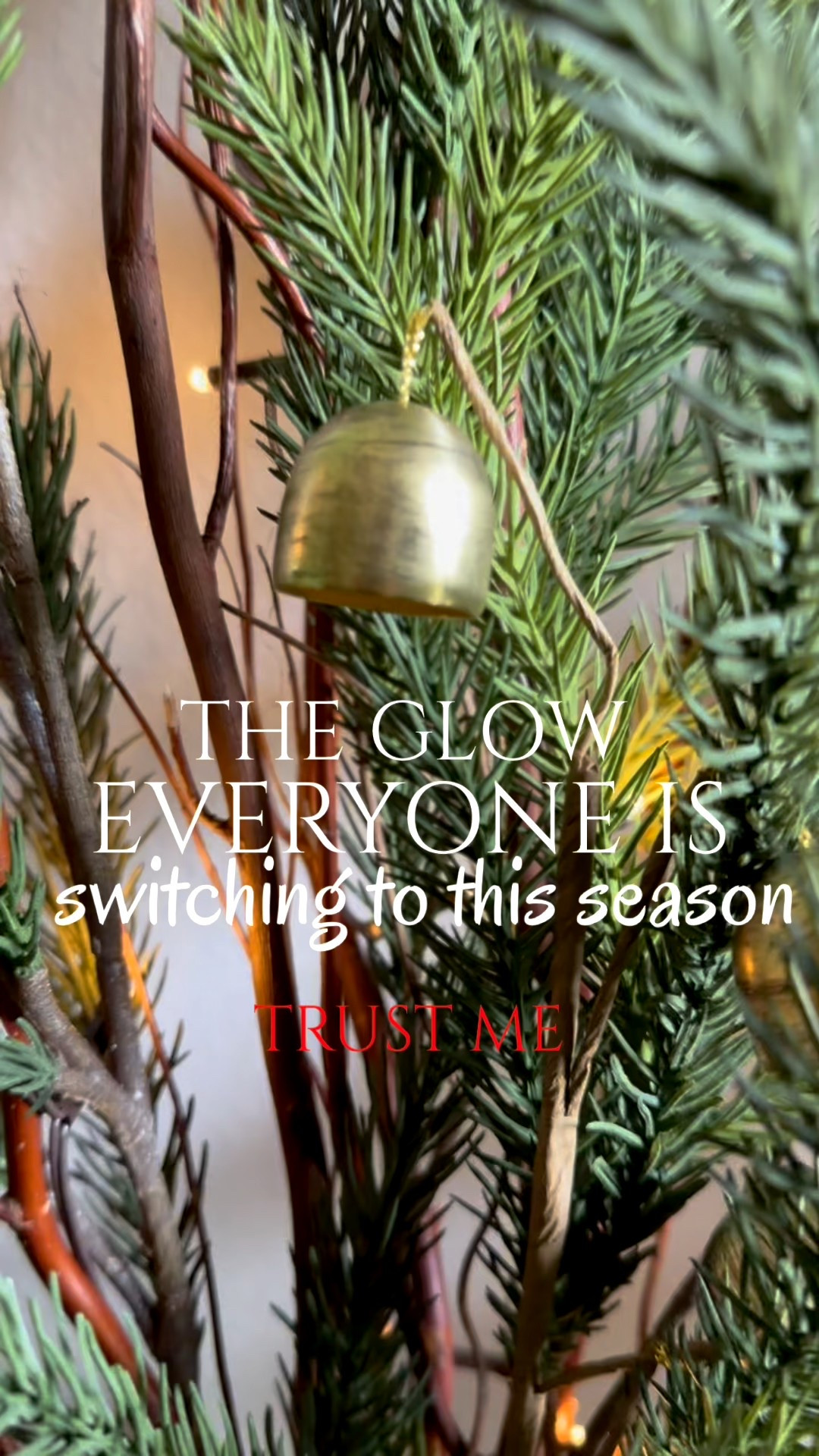 Finishing touches that make your greenery feel alive…
Twig lights wrapped through branches for that soft, warm glow.

#LTKCyberWeek #LTKHoliday #LTKSeasonal