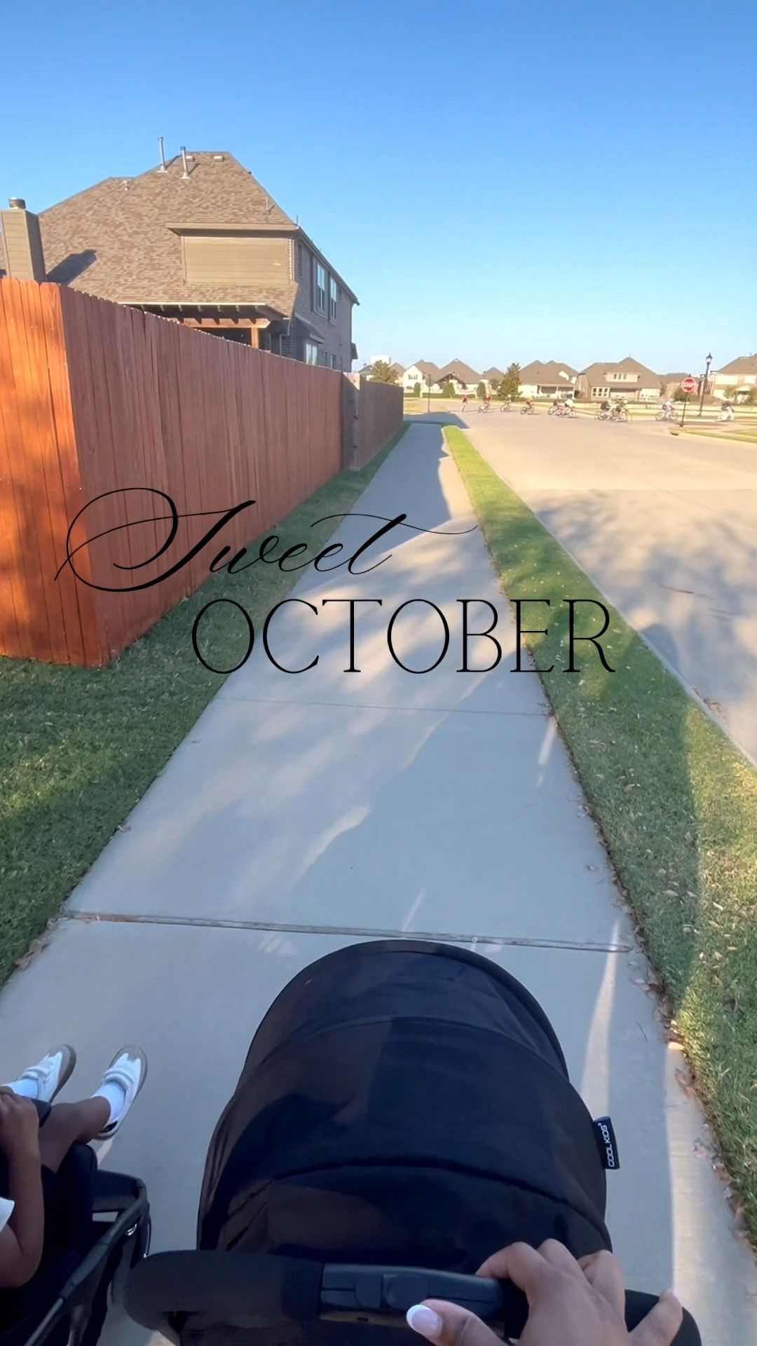 A few sweet memories from October.
Forever grateful.

#LTKdayinmylife #LTKmomlife