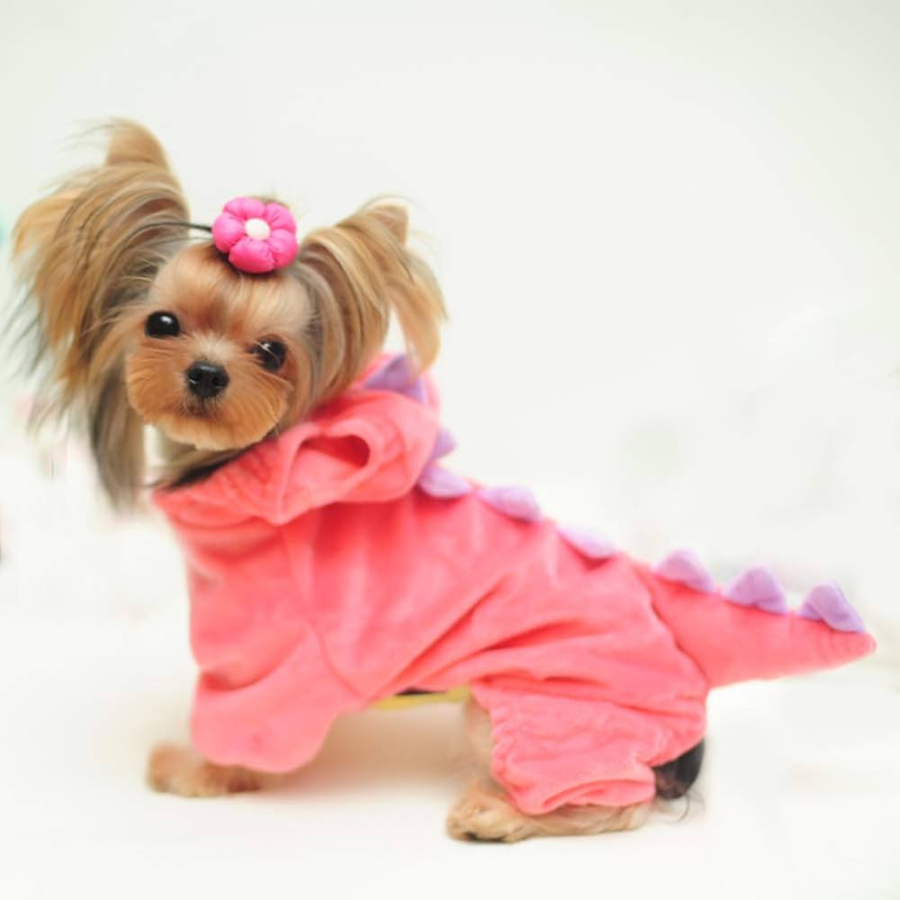 NACOCO Dog Dinosaur Design Costume Pink Pet Clothes for Medium & Large Dog (Pink, S) | Amazon (US)