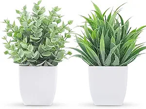 Der Rose 2 Packs Small Fake Plants Mini Artificial Potted Plants for Table Desk Home Bathroom Off... | Amazon (US)