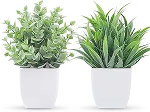 Der Rose 2 Packs Small Fake Plants Mini Artificial Potted Plants for Table Desk Home Bathroom Off... | Amazon (US)