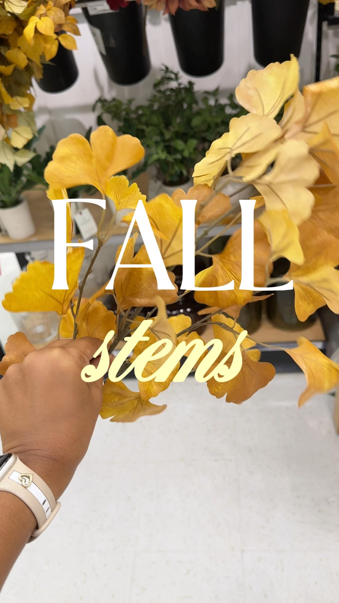 The fall stems from hearth and hand that I’m eyeing. Love the lighter colors for early fall styling 🍂

#LTKSeasonal #LTKHome