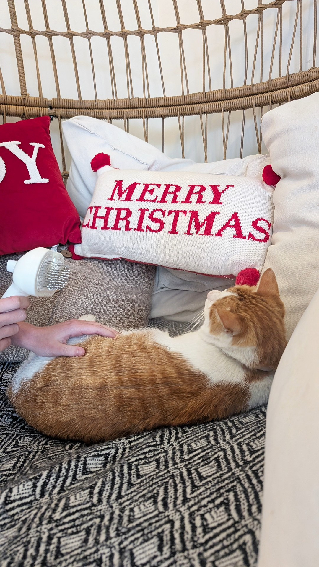 3 in 1 Cat Steam Brush, Pet Steam Brush for Cat Dog Long Short Haired, Pet Spray Hair Removal Comb for Small Animals Shedding & Grooming, Water Mist Spray Brushes with Release Button#cat #catbrush #catcare #pethairbrush #animals heading #petscare 

#LTKHome #LTKdayinmylife #LTKstorytime