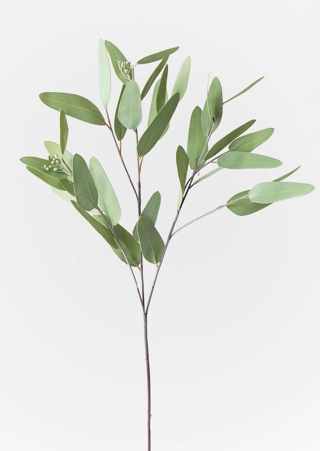 Faux Real Touch Eucalyptus Branch - 31" Tall | Afloral (US)