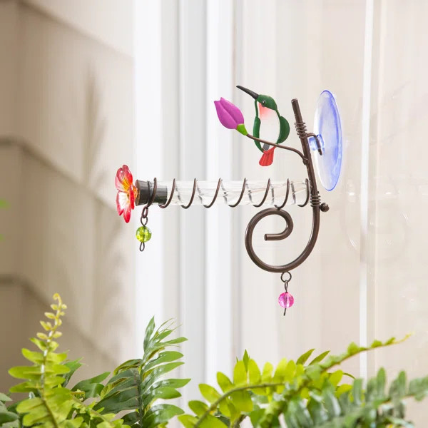 Lamiyah Tulip Window Hummingbird Feeder with Suction Cups | Wayfair North America