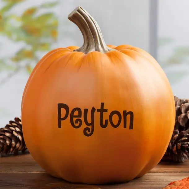 Family Personalized Pumpkin | Wayfair North America