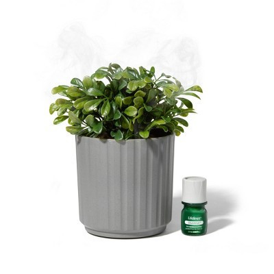 Lifelines Boxwood Plant - Ribbed Gray Planter Diffuser | Target