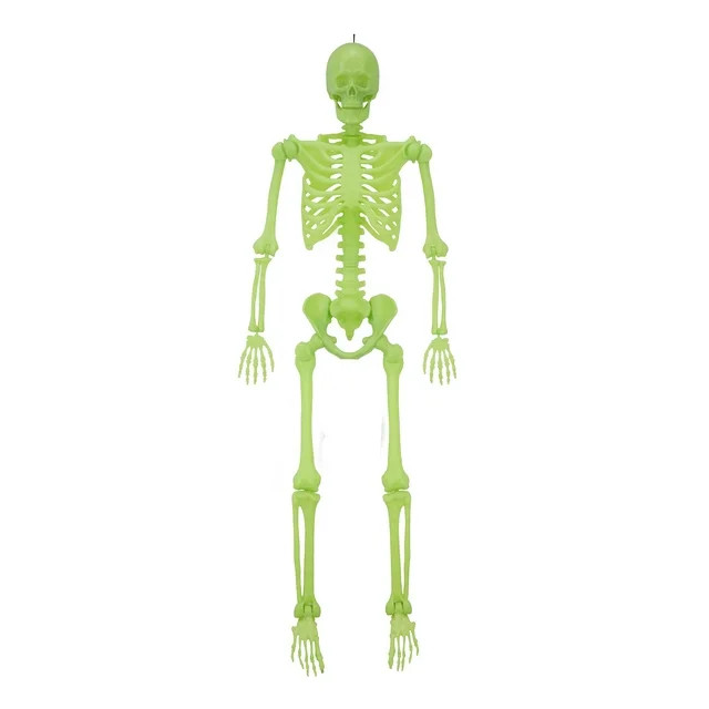 5ft Green Glow-in-the-Dark Plastic Ultra Poseable Skeleton, Halloween Hanging Decoration, by Way ... | Walmart (US)
