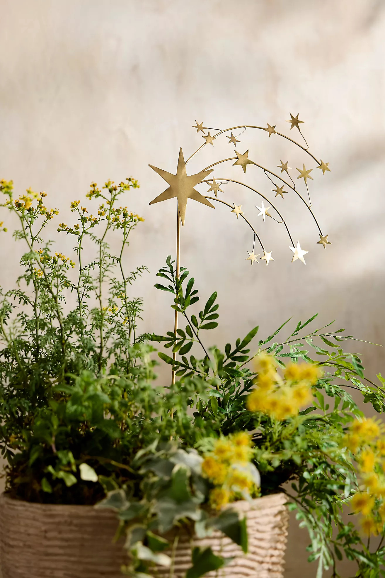 Shooting Star Iron Stake | Anthropologie (US)
