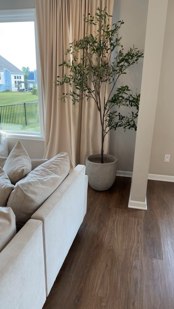 7ft olive tree
Amazon home finds
Amazon concrete planter 


#LTKHome #LTKVideo #LTKStyleTip