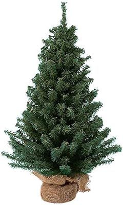 Kurt Adler 12 Miniature Pine Tree | Amazon (US)