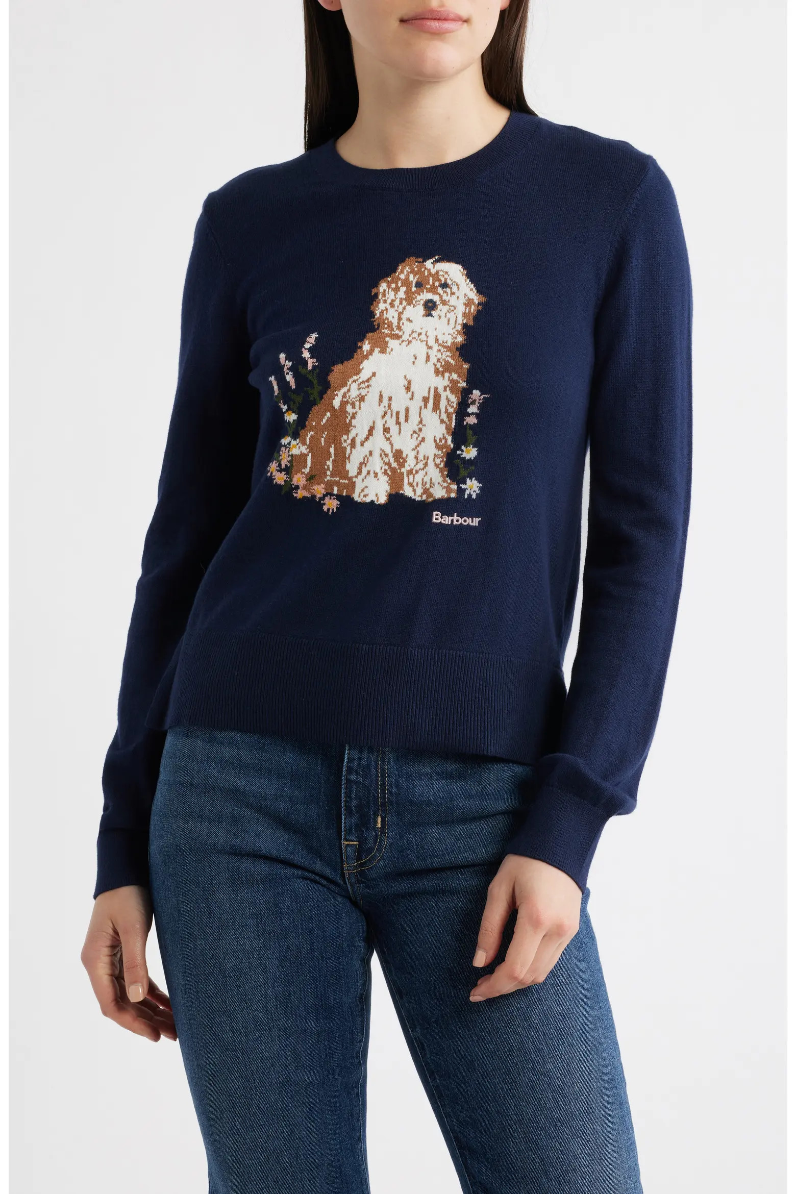 Alder Intarsia Cotton & Cashmere Sweater (Women) | Nordstrom | Nordstrom