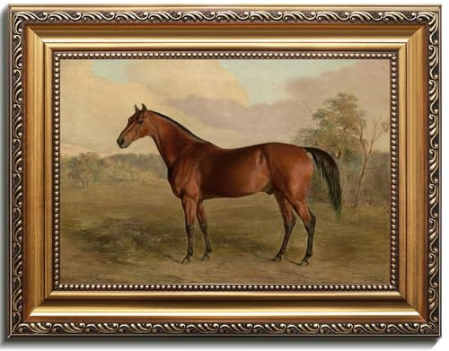 uniro Vintage Gold Framed Horse Wall Art, Farmhouse Decor Horse Canvas Art Prints Painting, Rustic horse Picture Western Wall Decor, Antique Country Wall Decor for Living Room, Bedroom, Bathroom, Office, Farmhouse Western Home Decor - 16x24Inch | Amazon (US)