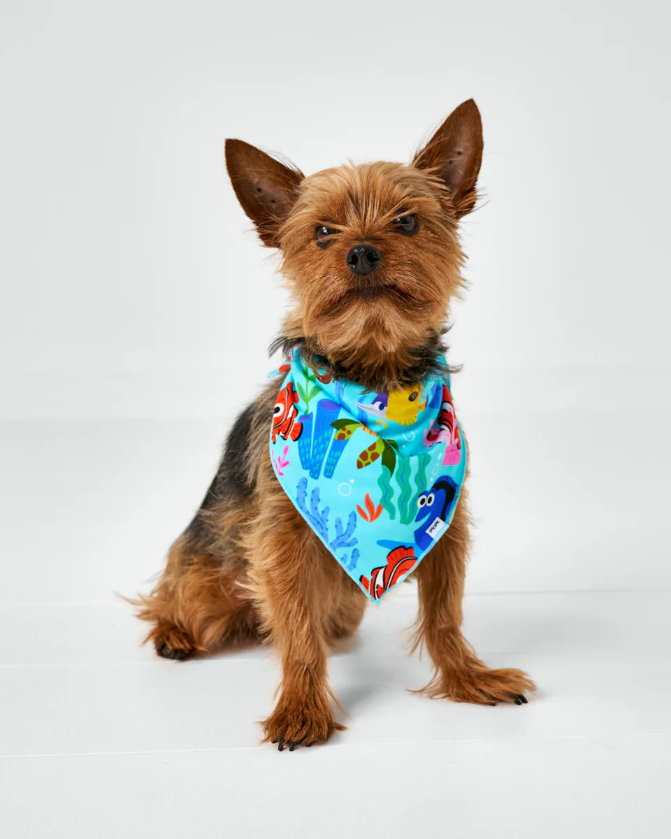 Pixar Nemo's Reef Pet Bandana | Little Sleepies