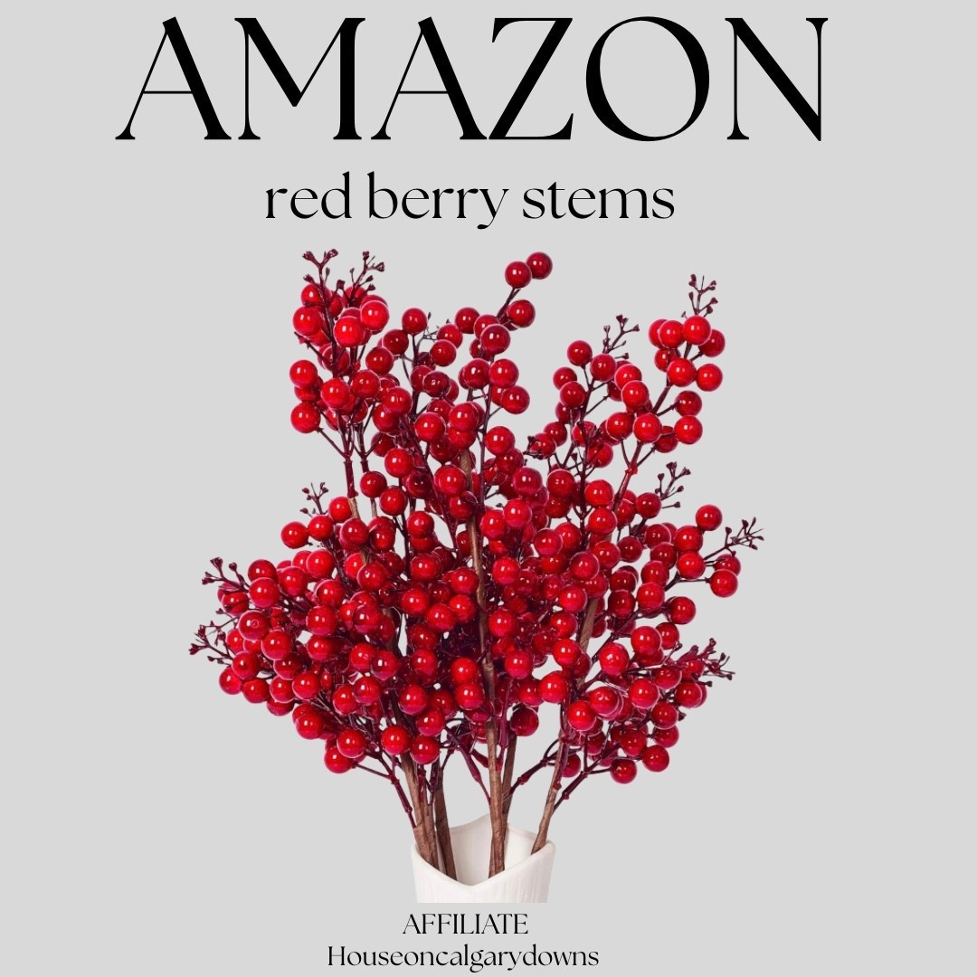 Red berries 

#LTKGiftGuide #LTKHoliday
