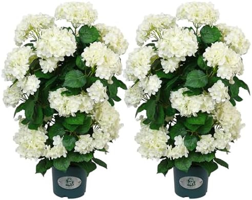 Sabrina Tan's Amazon Page - Spring Outdoor Home Finds | Amazon (US)