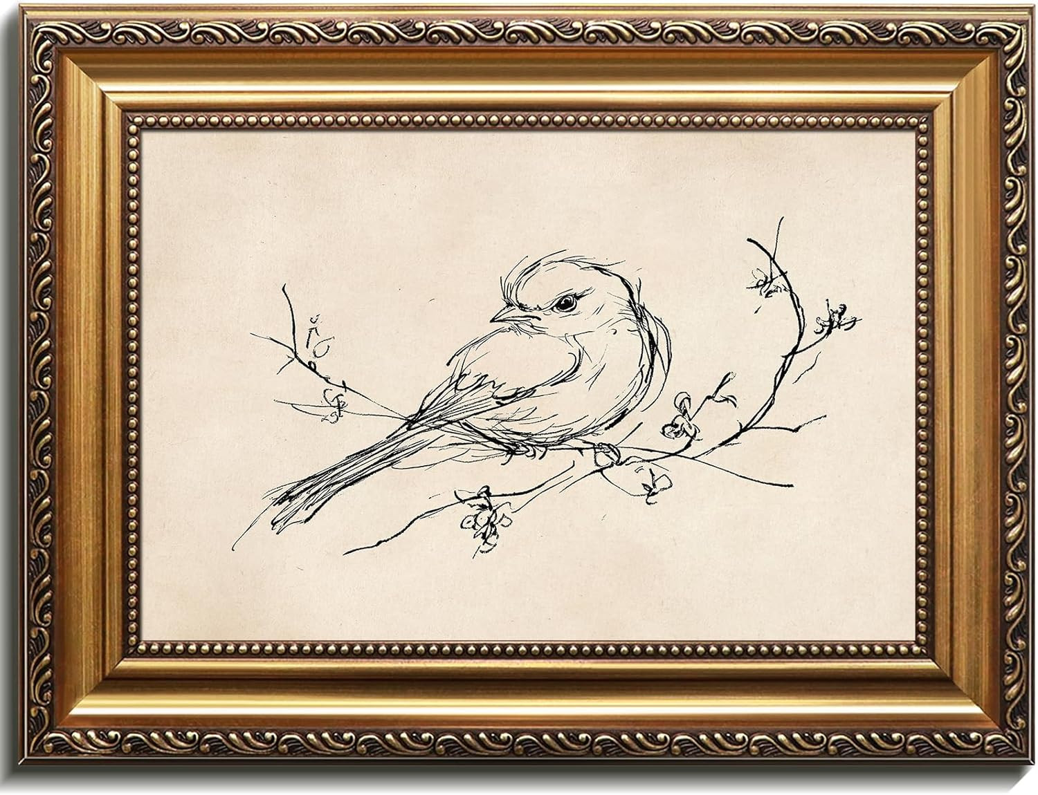 uniro Vintage Gold Framed Wall Art, Minimalist Bird Sketch Canvas Art Prints Painting, Antique Na... | Amazon (US)
