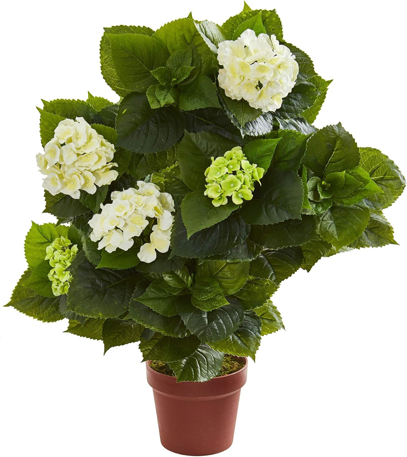 Nearly Natural 29” Hydrangea Artificial Silk Plants, White/Green | Amazon (US)