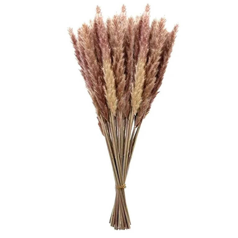 Pompotops 30PC Dried Decoration Dried Flowers Vases Bouquet Boho Decoration Branches | Walmart (US)