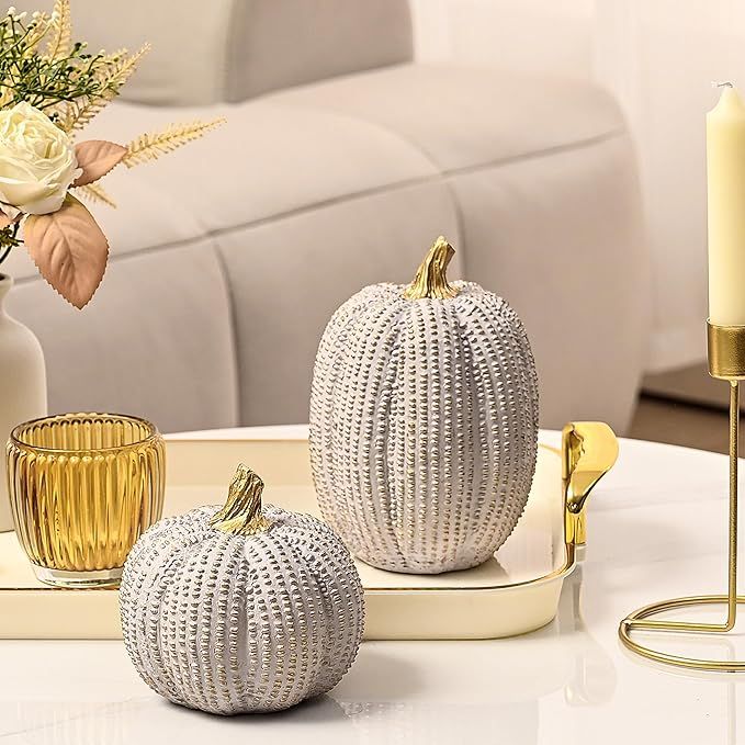 Fall Pumpkin Decor, Resin Pumpkin Figurine Set of 2, Decorative Fake Pumpkin for Decorating, Whit... | Amazon (US)