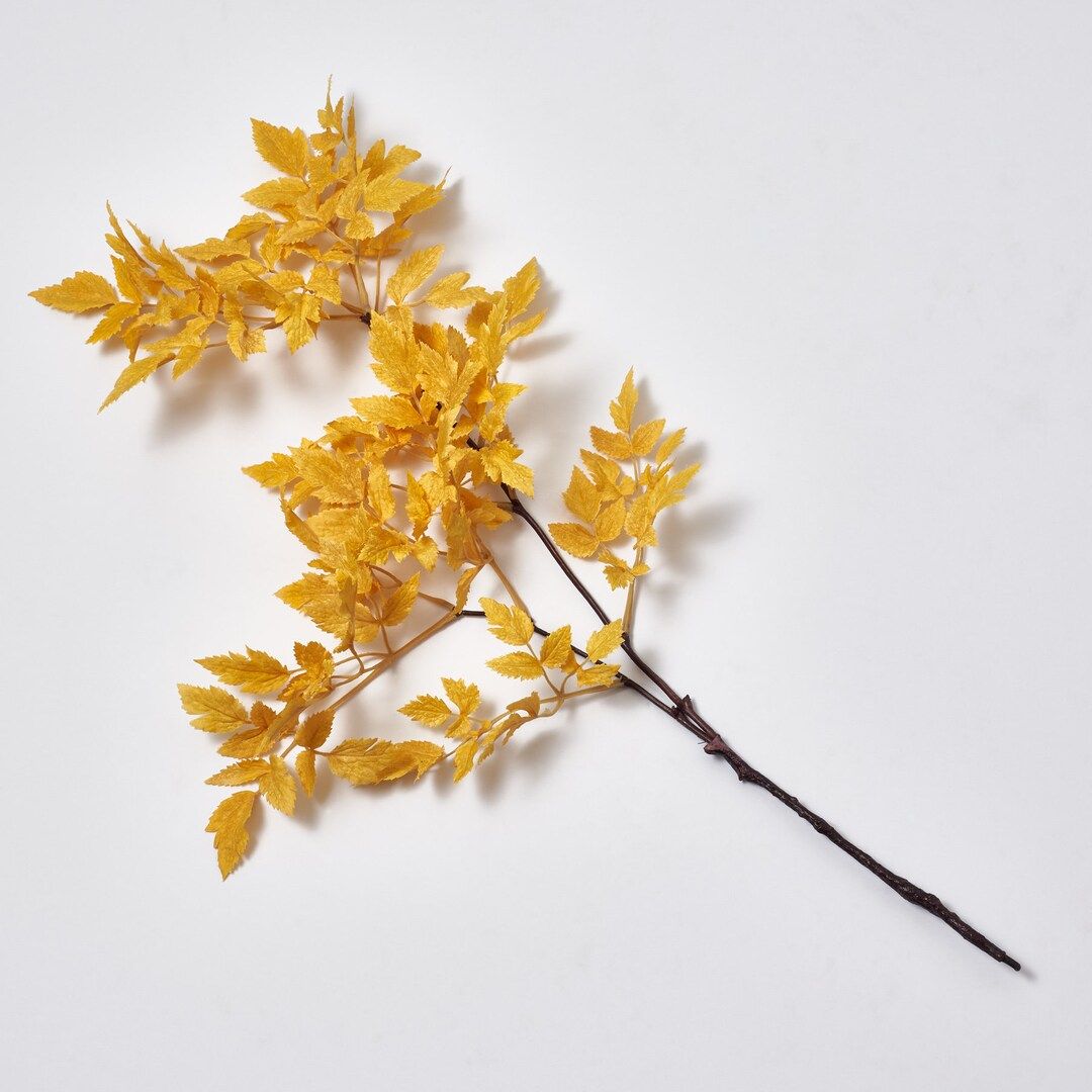 Golden Yellow Silk Cimicifuga Ramosa Leaf Branch Faux Fall - Etsy | Etsy (US)