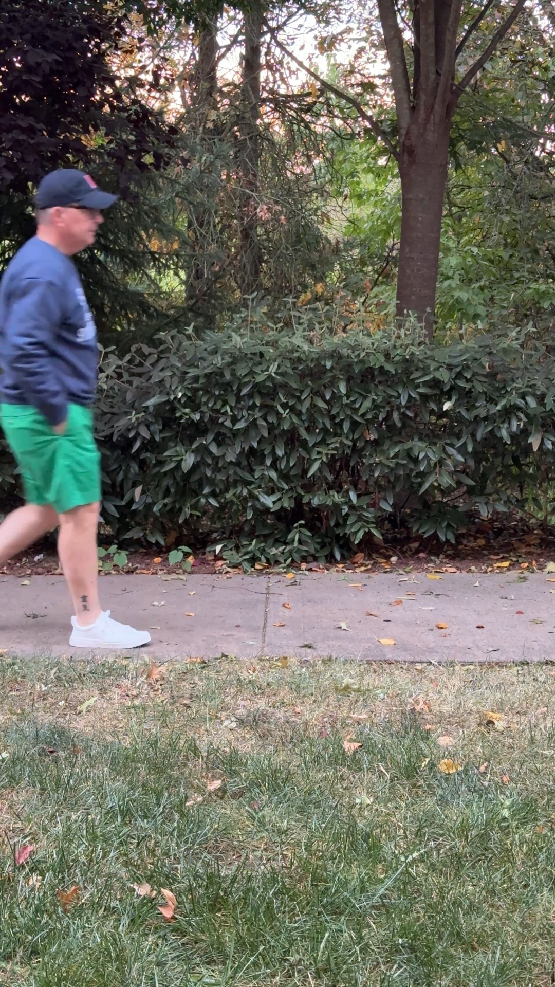 Transition fall day with a cool morning and warm afternoon! Wearing a pair of Kelly green shorts and a crewneck sweatshirt over a beefy T. Rounded out with Cariuma sneakers.

#LTKpreppy #LTKtrad #LTKmenswear

#LTKSeasonal #LTKMens #LTKOver40