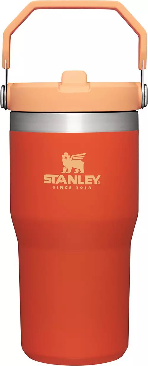 Stanley 20 Oz. IceFlow Tumbler with Flip Straw | Dick's Sporting Goods