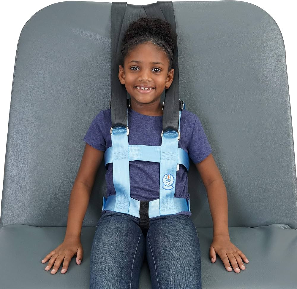 EZ-ON MAX2 Vest & Mount (Small(Chest Circumference: 25"-32")) | Amazon (US)