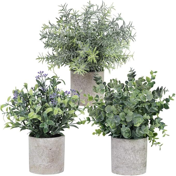 3 Pack Assorted Greenery in Pots Artificial Eucalyptus Rosemary Seeded Boxwood Small Potted Plant... | Amazon (US)