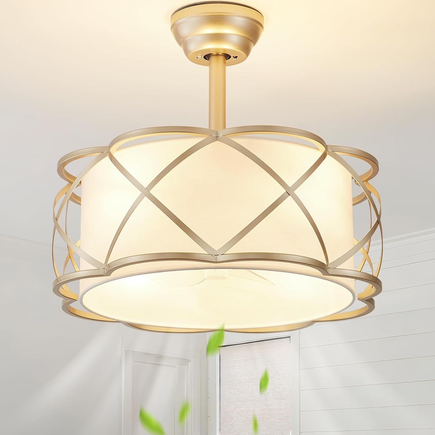 Visit the DSYBRI Store | Amazon (US)