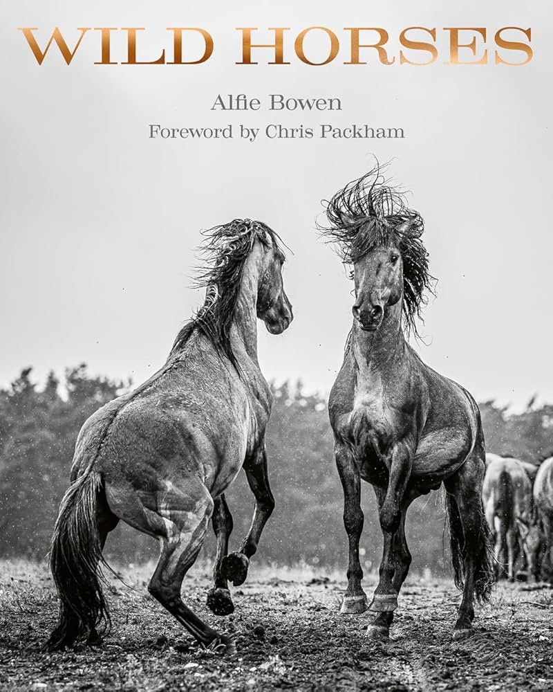 Wild Horses | Amazon (US)